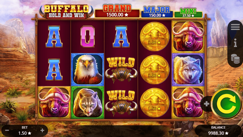 Bonus symbols for Buffalo Hold and Win