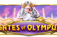 Experience the Gates of Olympus slot game at Pin Up.