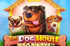 Explore The Dog House Megaways Slot – An Exciting and Volatile Experience at Pin Up